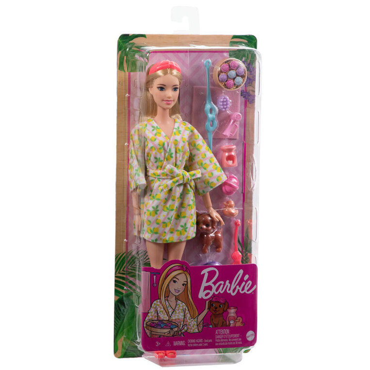 Barbie Wellness - Ημέρα Ομορφιάς Spa Day Doll - HKT90